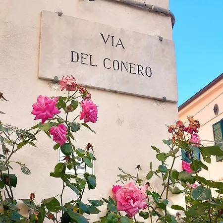 Lole Sulla Via Del Conero Apartment Ancona